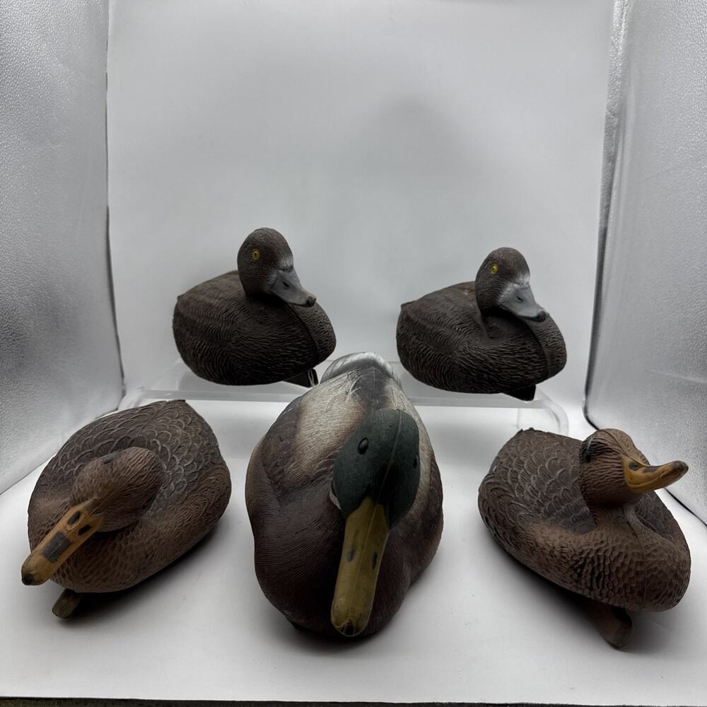 5 Vintage Duck Decoys Sport Woodstream Corp Victor D-100 Oversized Mallard Hunt